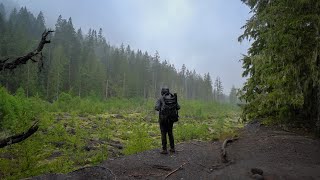 Traveling To The Pacific Northwest | Silent Vlog