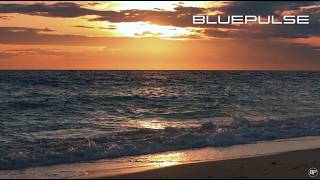 BluePulse 022 — Moonlit Coast | Quiet Horizon