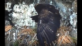 First hatch for Rocky & Petra!  March 28, 2021