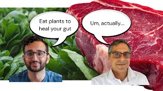 Forget 30 Plants. Your Gut Wants 70% Meat (Response to Ali Abdaal)
