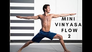 Mini Vinyasa Flow Class 2
