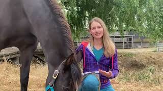 Stay in the Saddle: Dasha and Chance’s Journey