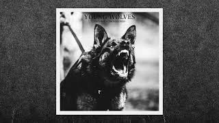 cøzybøy - young wolves ft. Thomas Reid (official audio)