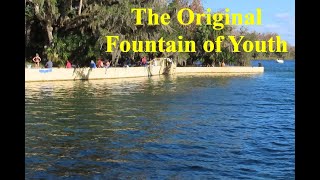 Ocala Nat. Forest Salt Spring Campground and Surrounding Campgrounds and Attractions you didn't know