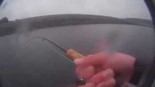 Fly Fishing - Getting 3 fish on one cast