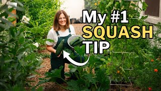 SUMMER SQUASH GROWING GUIDE: Timing, Watering, Pollination & More