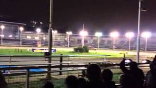 Wimbledon roll over cars