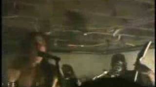 Solace In The Shadows - The Faithfull Undead