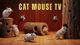 Cat TV 🐾 Mouse Hide & Seek, Gerbil Hole Playground Interactive Mouse Hunt Game | 4K 60FPS