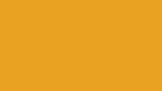 Marigold Orange Screen | 1 HOUR of MARIGOLD ORANGE | 60 Minutes of Marigold Orange