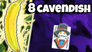 How Many Cavendish Can You Collect in Balatro?
