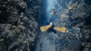 The Canyons of Roatan
