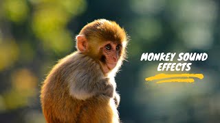 Monkey Sound: Monkey Noises| Monkey Sound Effect| Monkey Voice Sound| Monkey Baby| Under 2 Minutes