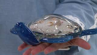 Ultimate Innovations Glass Tabletop Turtles on QVC