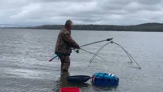 Use of a scap net for catching herring