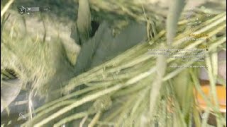 Dying Light_20191119155840