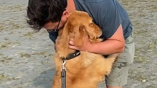 Dog's emotional response to rescue