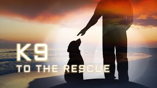 K-9 to the Rescue of Kingston takes their love of Dogs to a whole new level! Only on Plymouth Rock T