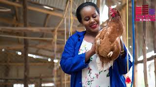 KAFFIIKA ANIMAL FEEDS DOCUMENTARy