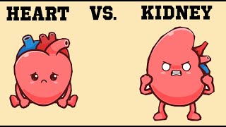 Heart vs. the kidneys