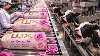Inside the Largest Lux Soap Factory – From Cow Fat to Luxury Soap (Full Process)