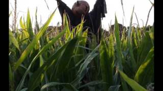 Pumpkinrot - HOLLOW Scarecrow