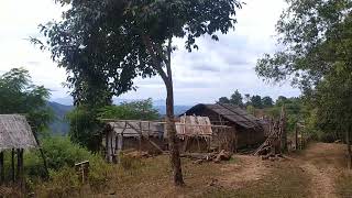 Lailong 'L'   Khuo @ 4/12/2021