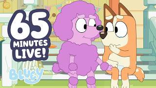 🔴LIVE: Sweetest Moments 🥹 💙 | 1 HOUR+ Bluey Clips Livestream 💕 | Bluey