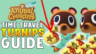 ⚠ Don’t miss out this weekend! How to Make Money Time Traveling in Animal Crossing