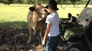 Weekend at the Ranch 8/10/13