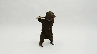 Fernand Martin Performing Bear clockwork toy