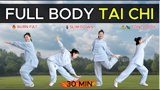 30 MIN Full Body Tai Chi Exercise for Women | Burn Fat, Slim Down & Tone Your Body