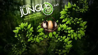 Music - Simple Ambient | AudioJungle Download