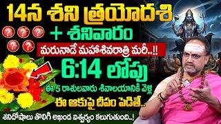 Nandi Bhatla - 14న శని త్రయోదశి + శనివారం  | Shanitrayodashi Poojavidhanam 2026 | SumanTV Sandhya
