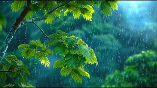 Rainstorm Sounds for Relaxing and Deep Sleep 🌧️ Calm Thunder & Gentle Rainfall