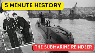 The Soviet Submariner Deer (No that is not clickbait) - 5 Minute History