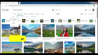 Google Image Search Tool