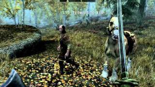 Random Skyrim Clip