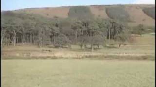 SAINZ-MOYA RALLY GRAN BRETAÑA 1998