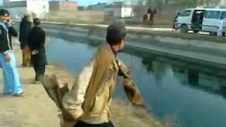 bamkhel funny