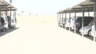 OFM Videos Live Stream