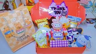 Sanrio squishy packing fake order ⭐ #papercraft #sanrio #packingorders #satisfying 