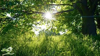 Peder B. Helland - Beautiful Day (Radio Edit)