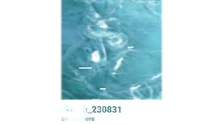 sketch_230831 7K ANOTHER #bofnt