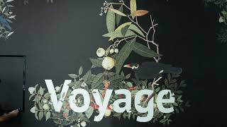 Voyage - Behind the Scenes of the Singapore Night Fest 2022 Holographic Video Installation