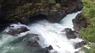 Water hole