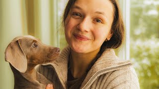 I'm finally learning to be kind to myself: A quiet week of unproductivity (ft. Mr. BamBam)