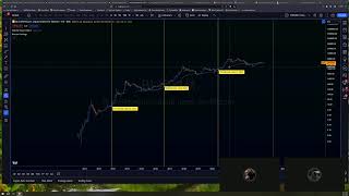 Daily Live Lab for Beginner Traders