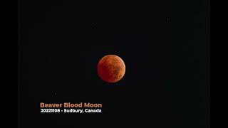 Beaver Blood Moon Lunar Eclipse Timelapse Video from Sudbury, Ontario CANADA