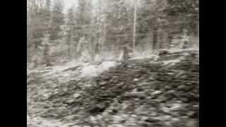 Pink Avalanche - Corpse